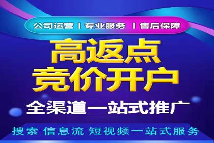 百度SEO推广策略案例：一家公司的成功转型之路